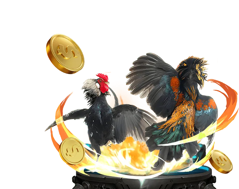 Hình ảnh đá gà trực tuyến X88 Pro